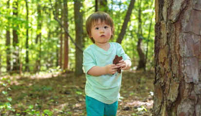 Young toddler boy playing in the forest
