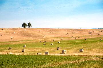 Obraz premium Magic is a charming incredibly beautiful harmonious landscape with twisted haystacks in the field. Tuscany, Italy (crop, welfare - concept)