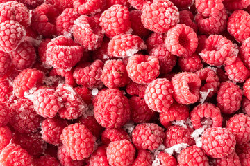red raspberry berries in deep freeze for long-term storage