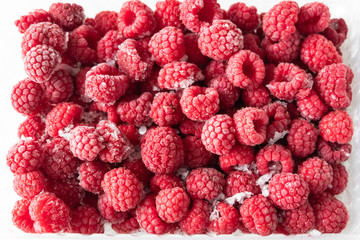 red raspberry berries in deep freeze for long-term storage
