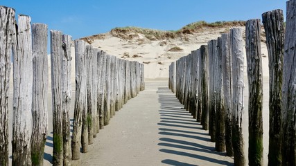 Wellenbrecher aus verwitterten Holzbst&auml;mmen an der Nordsee