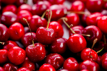 Cherries with water drops header. Macro berries shot with copy space