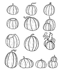 Halloween pumpkin by hand drawing.Set of pumpkin in halloween