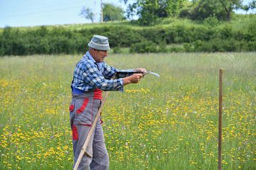 sharpening of scythe traditinoal way of grass mowing 