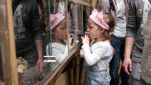 Wroclaw Poland zoo family mother with child girl watch tropical animals behind glass