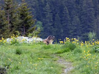 Soinsee_Hochmissing Bayern