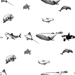 Seamless pattern of hand drawn sketch style marine animals isolated on white background. Vector illustration.