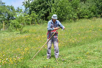 sharpening of scythe traditinoal way of grass mowing 