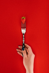 Female hand holding fork with strawberry isolated on red background