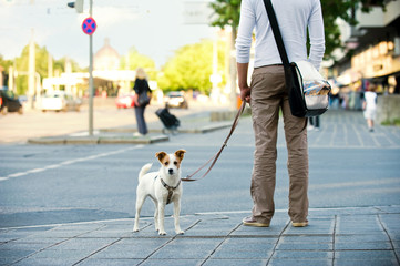 Mann mit Hund in der Stadt