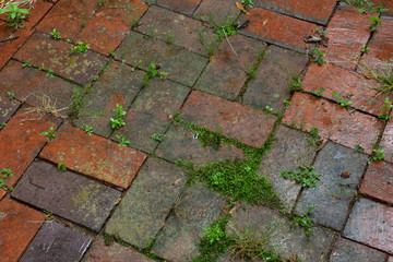 Wet pavers background on a diagonal view, horizontal aspect