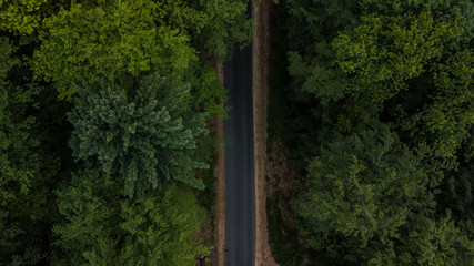 TreeWay