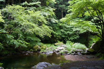 Akame 48 Waterfalls - Japan