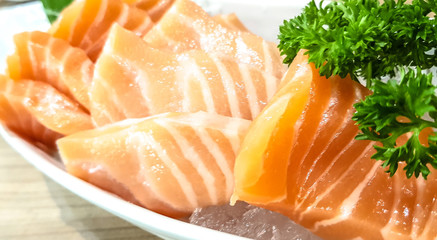Close-up detail salmon sashimi with Parsley on White Plate.