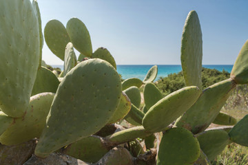 Summer Beach Italy
