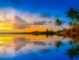 Sunset at the beach with coconut palm tree on blue sky background.