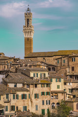 Fototapeta premium Siena, Italy