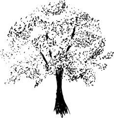 Black and white illustration of a tree, in the style of artillery. Good idea for a tattoo.
