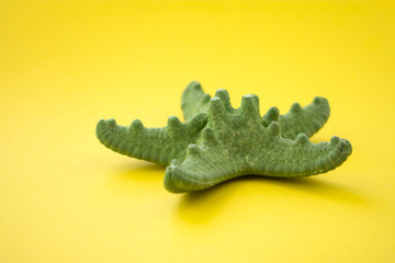 Green Seastar isolated on Yellow Backgrownd. Summer concept