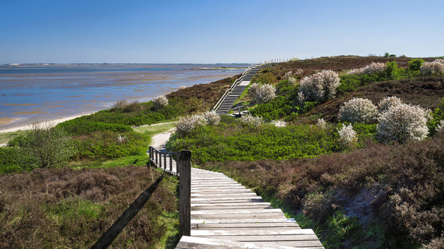 Braderuper heide auf Sylt sonnig wolkenlos HD Format