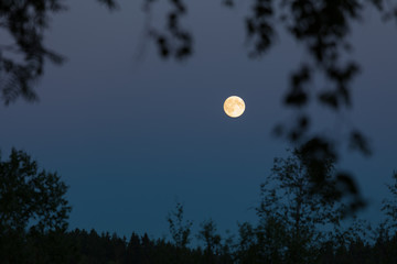 Full moon at night sky and trees © Juhku