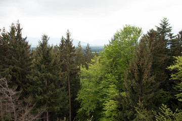Taubenberg Turm Bayern
