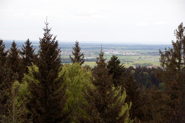 Taubenberg Turm Bayern