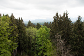 Obraz premium Taubenberg Turm Bayern