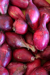 Rote Zwiebeln