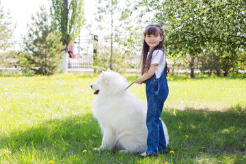 Little girl with a big white dog in the park. A beautiful 5 year old girl in jeans hugs her favorite dog during a summer walk.