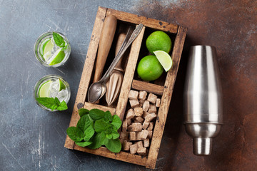 Mojito cocktail ingredients box