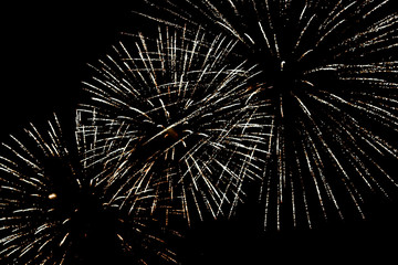 Obraz premium Fireworks Go Boom