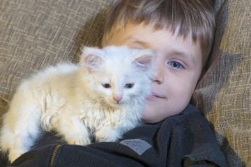 A young and cheerful little boy is playing with a white cat on the couch