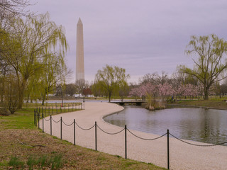 Washington monument in Washington DC, USA