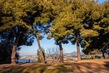 Hill Park Trees in Nice City