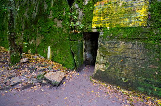 German bunkers of Wilczy Szaniec, Poland