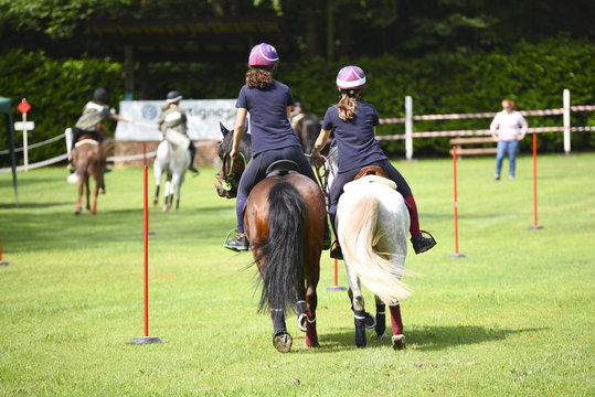 mounted games