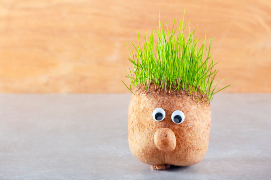Head with grass on top,