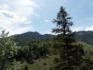 Obraz premium Wolfsschlucht Bayern