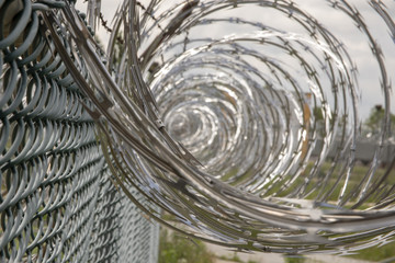Coiled razor wire on fence
