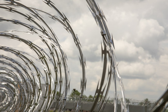 Coils of razor wire on fence