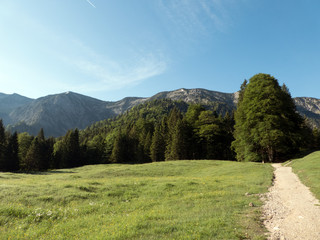 Wolfsschlucht Bayern