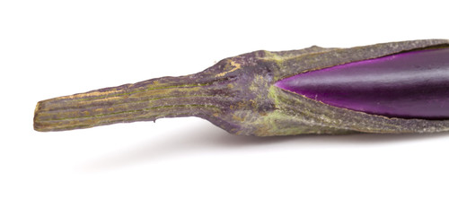 eggplant, long cultivar