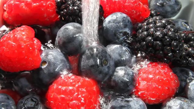 Lamponi, More, Mirtilli, Frutti di Bosco,Raspberries, Blackberries, Blueberries, Berries