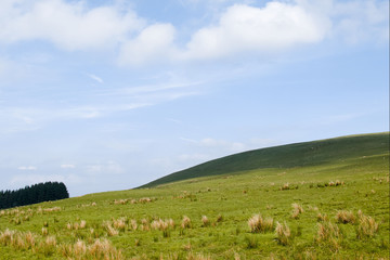 minimal countryside, brecon beacons, Crai reservoir