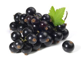 Schwarze Johannisbeeren