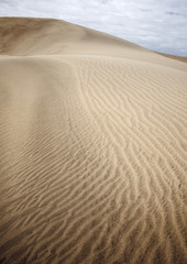 sand and wind patterns