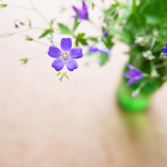 A small lilac flower in a selective focus. A bouquet of wild flowers.