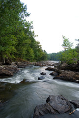 Fototapeta premium Beautiful River with Rapids in the Forest