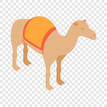 Camel isometric icon 3d on a transparent background vector illustration